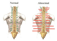 Concordville Chiropractic, Dr. John A. Harris, Concordville, PA